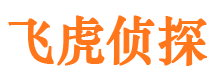 滴道市侦探公司